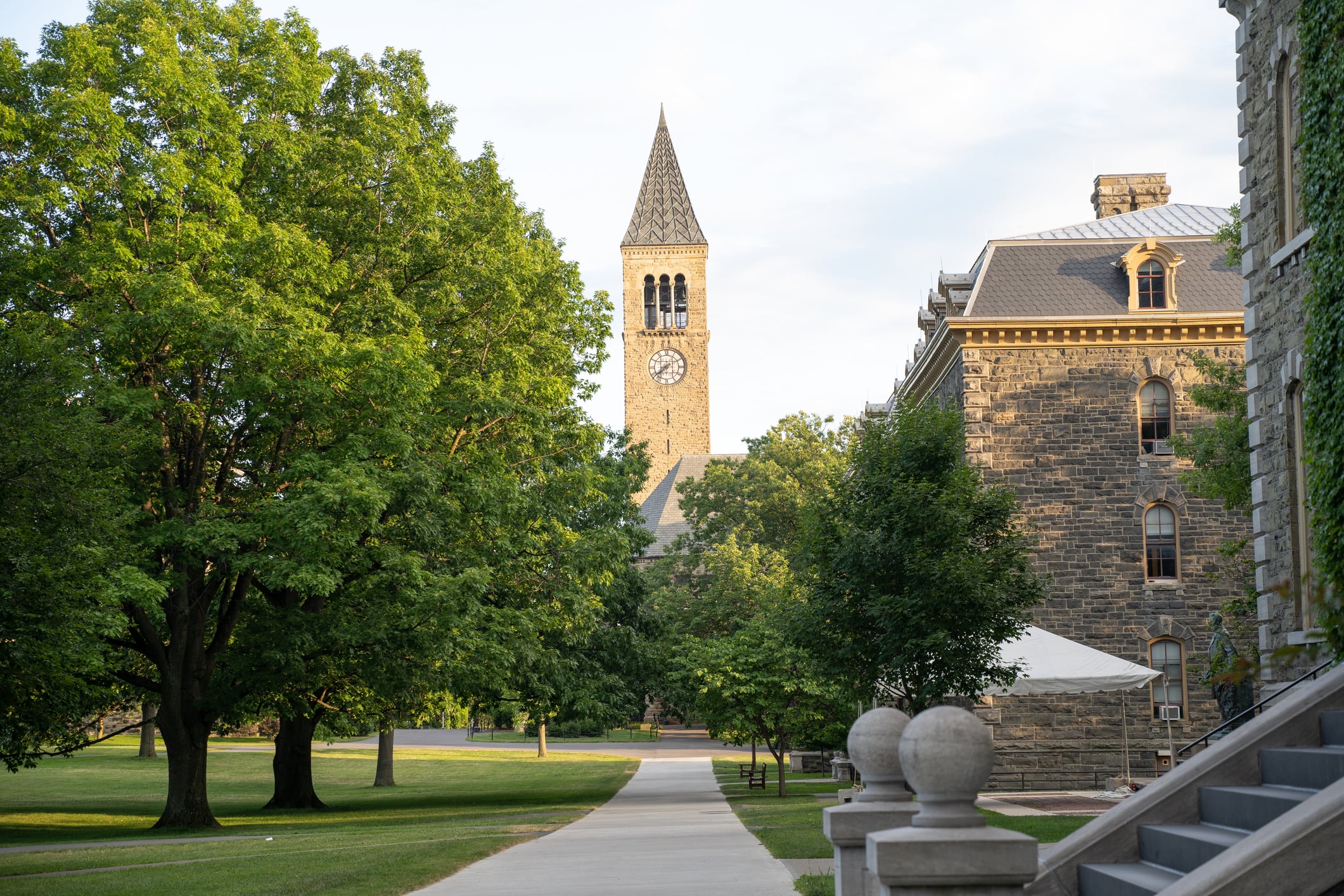 Cornell University