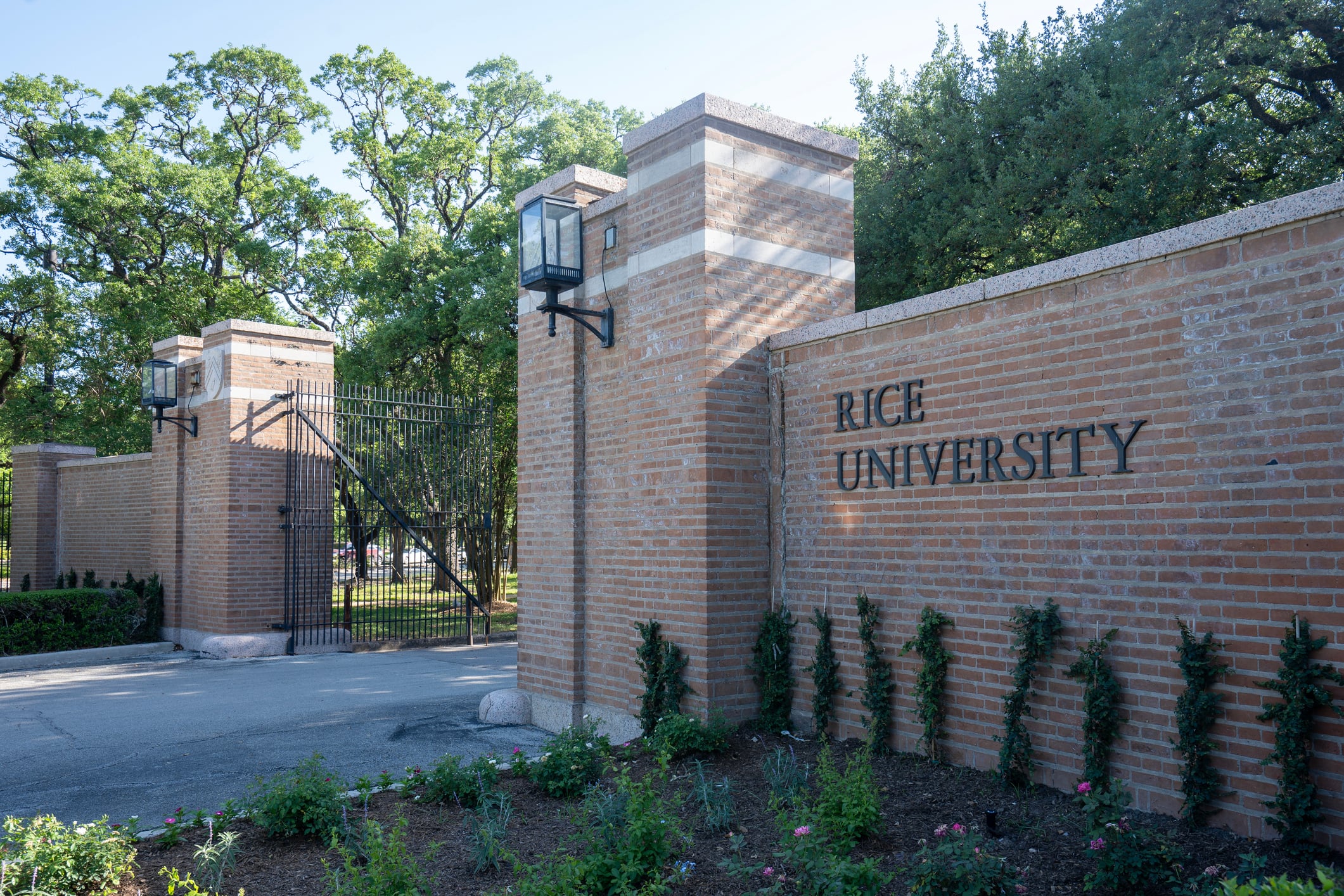 Rice University